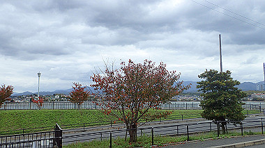 20221114_pb142689_thumb.jpg