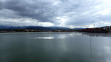 20221114_pb142690_thumb.jpg