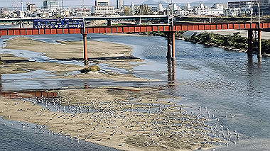 20221115_14-06-09_201_thumb.jpg