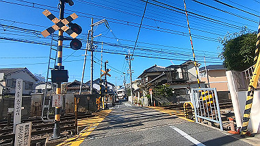 20221115_gx017250.mp4_snap_00.04_thumb.jpg
