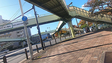 20221115_gx017276.mp4_snap_03.43_thumb.jpg