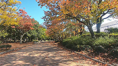 20221115_gx017277.mp4_snap_00.57_thumb.jpg