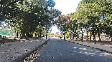 20221115_gx017280.mp4_snap_01.04_thumb.jpg