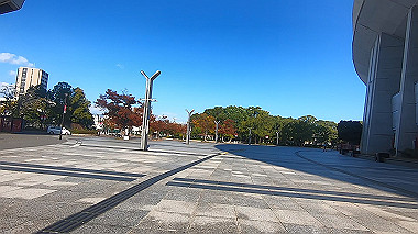 20221115_gx017280.mp4_snap_04.33_thumb.jpg