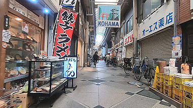 20221115_gx017286.mp4_snap_00.42_thumb.jpg
