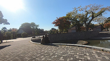 20221115_gx017287.mp4_snap_00.22_thumb.jpg