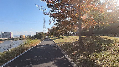 20221115_gx017293.mp4_snap_00.23_thumb.jpg