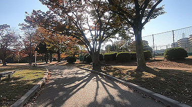 20221115_gx017294.mp4_snap_00.07_thumb.jpg