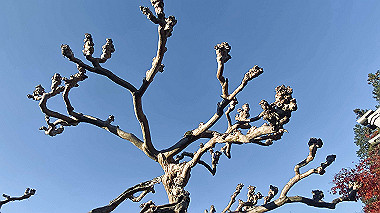 20221118_14-54-10_086_thumb.jpg