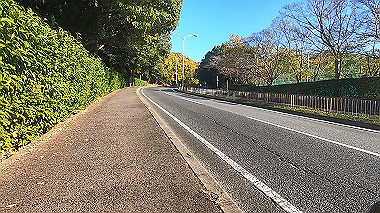 20221118_gx017297.mp4_snap_00.00_thumb.jpg