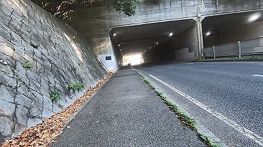 20221118_gx017297.mp4_snap_01.06_thumb.jpg