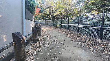 20221118_gx017297.mp4_snap_04.52_thumb.jpg