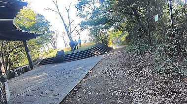 20221118_gx017298.mp4_snap_02.08_thumb.jpg