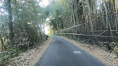 20221118_gx017298.mp4_snap_05.16_thumb.jpg