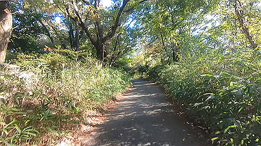 20221118_gx017300.mp4_snap_00.44_thumb.jpg
