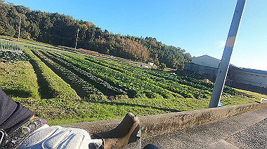 20221118_gx017302.mp4_snap_00.03_thumb.jpg