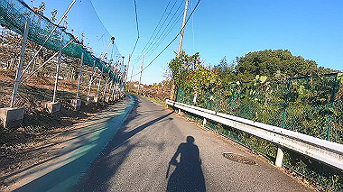 20221118_gx017306.mp4_snap_01.17_thumb.jpg
