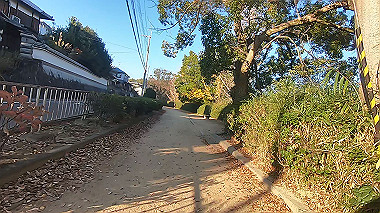 20221118_gx017310.mp4_snap_00.02_thumb.jpg