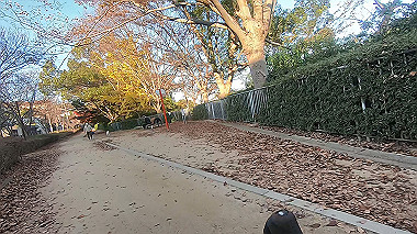 20221118_gx017310.mp4_snap_00.32_thumb.jpg