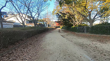 20221118_gx017310.mp4_snap_00.37_thumb.jpg