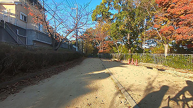 20221118_gx017310.mp4_snap_00.50_thumb.jpg
