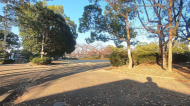 20221118_gx017310.mp4_snap_02.04_thumb.jpg