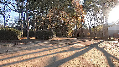 20221118_gx017311.mp4_snap_00.01_thumb.jpg