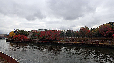 20221121_pb212706_thumb.jpg