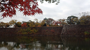20221121_pb212710_thumb.jpg