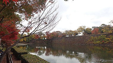 20221121_pb212712_thumb.jpg