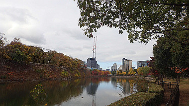 20221121_pb212713_thumb.jpg