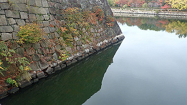 20221121_pb212726_thumb.jpg
