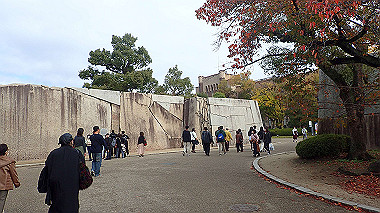 20221121_pb212778_thumb.jpg