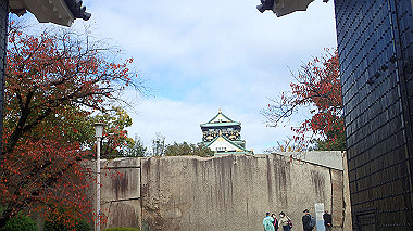 20221121_pb212782_thumb.jpg