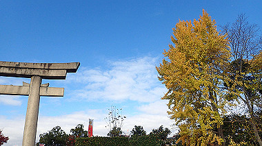 20221121_pb212809_thumb.jpg