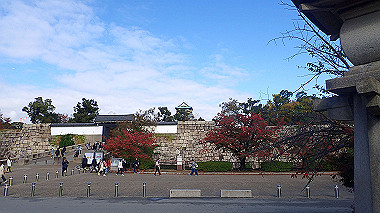 20221121_pb212811_thumb.jpg