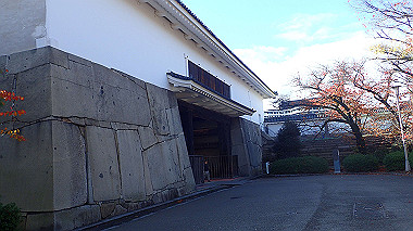 20221121_pb212825_thumb.jpg