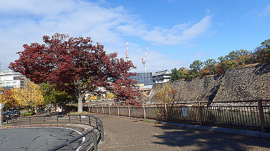 20221121_pb212839_thumb.jpg