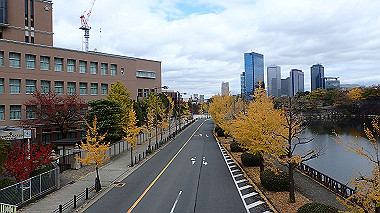 20221121_pb212880_thumb.jpg