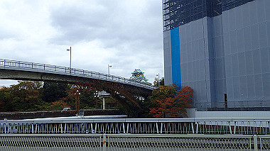 20221121_pb212892_thumb.jpg