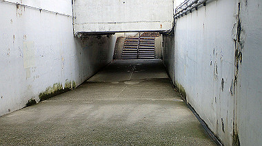 20221121_pb212894_thumb.jpg