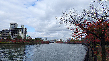 20221121_pb212896_thumb.jpg