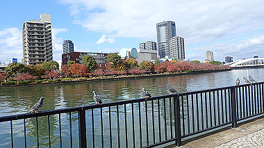 20221121_pb212902_thumb.jpg