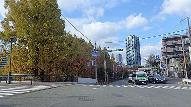 20221121_pb212925_thumb.jpg