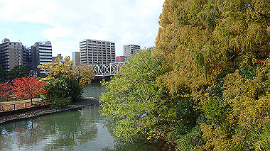 20221121_pb212927_thumb.jpg