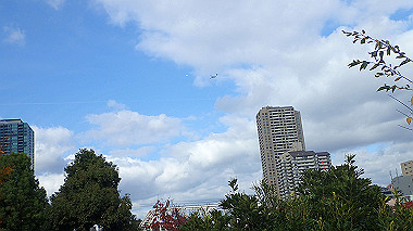 20221121_pb212933_thumb.jpg