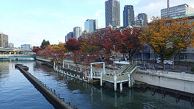 20221121_pb213009_thumb.jpg