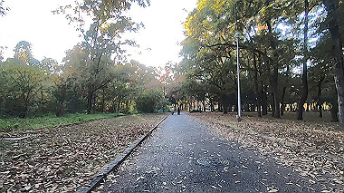 20221126_gx017313.mp4_snapshot_00.00_thumb.jpg