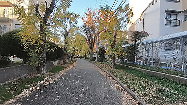 20221126_gx017314.mp4_snapshot_00.02_thumb.jpg