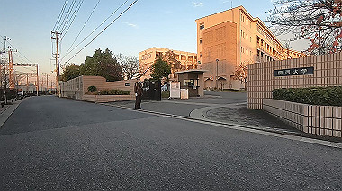 20221126_gx017315.mp4_snapshot_00.46_thumb.jpg